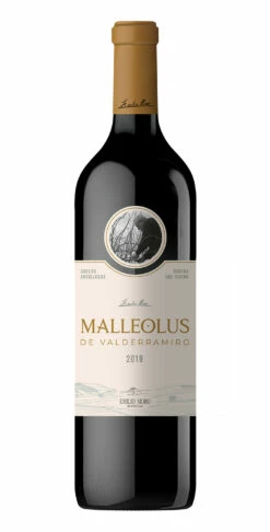 Malleolus De Valderramiro 2019