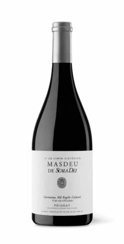 Scala Dei Masdeu 2016